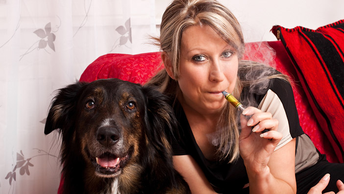 電子タバコが猫や犬に与える影響とは？ペットを飼っている人は要注意！